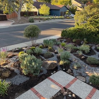 Oakplant Landscaping - Front Garden - Concord, CA